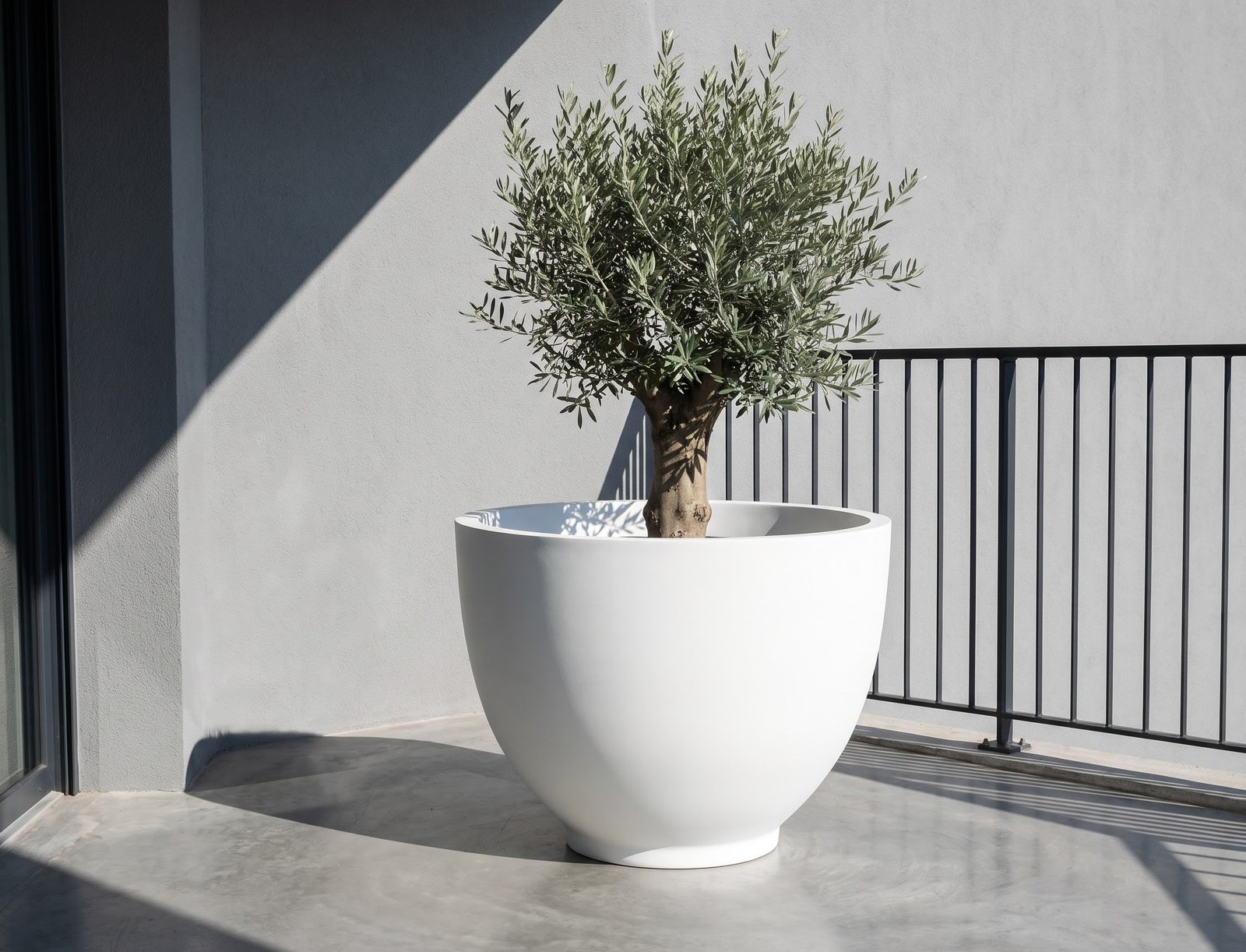 Olive Tree in Bowl B Planter