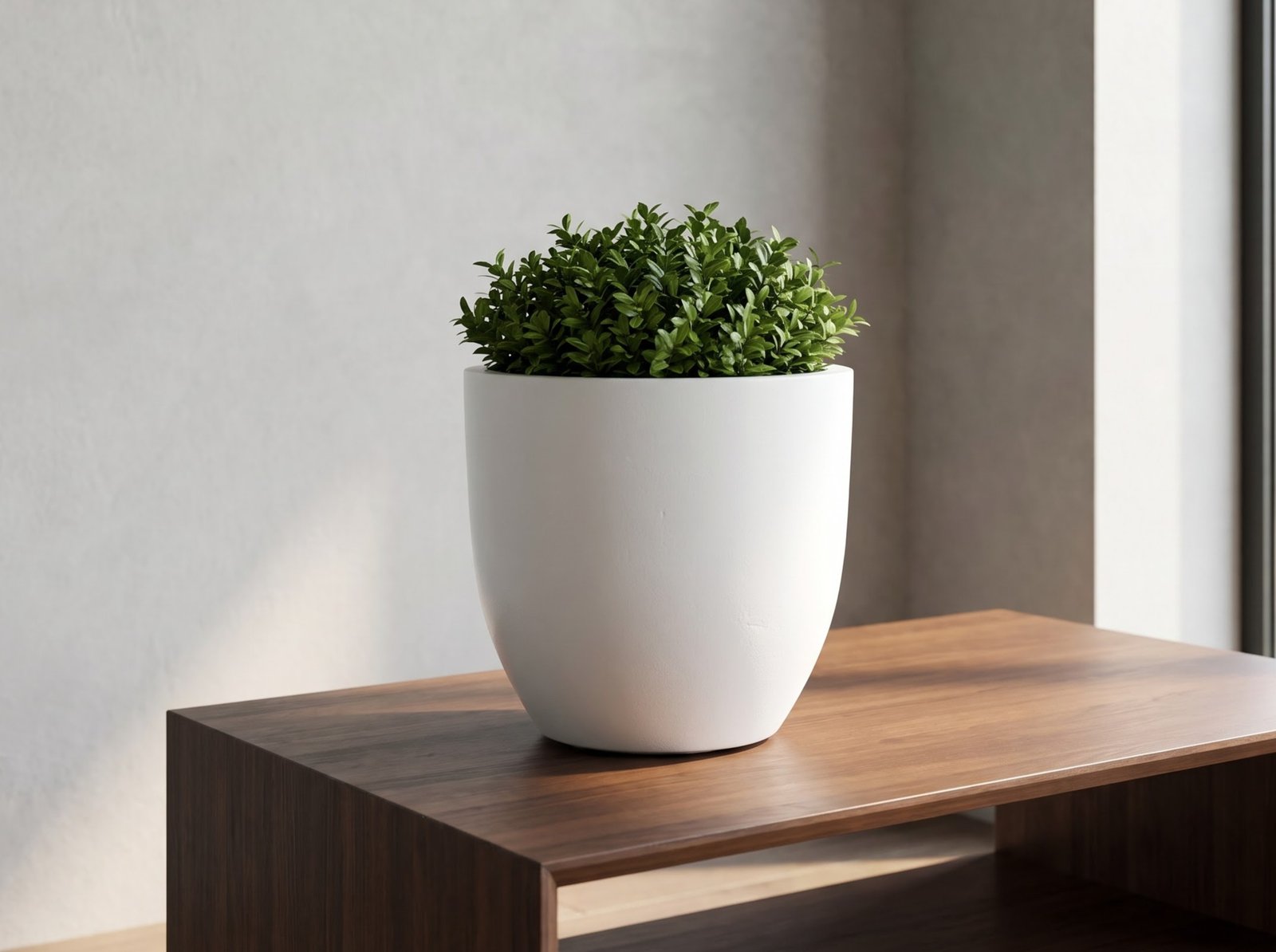 Kiwi Round Planter on Living Room Table