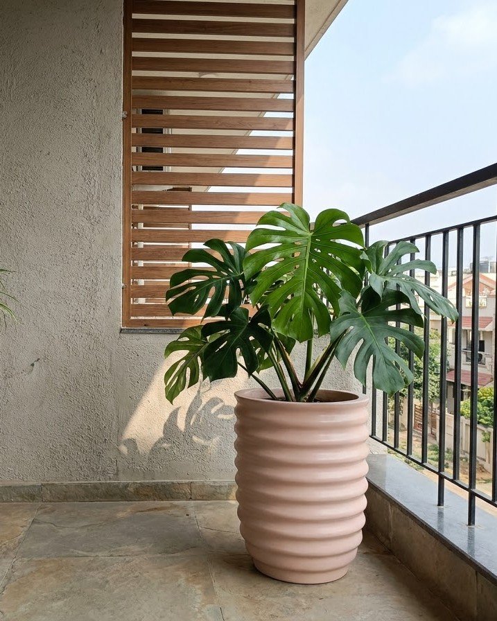 Cozy Balcony Nooks