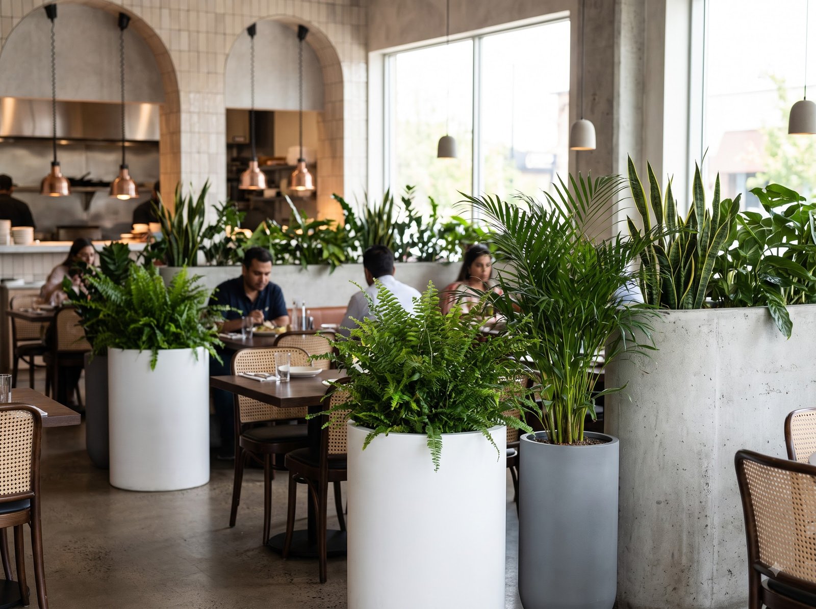 Restaurant interior with green plants
