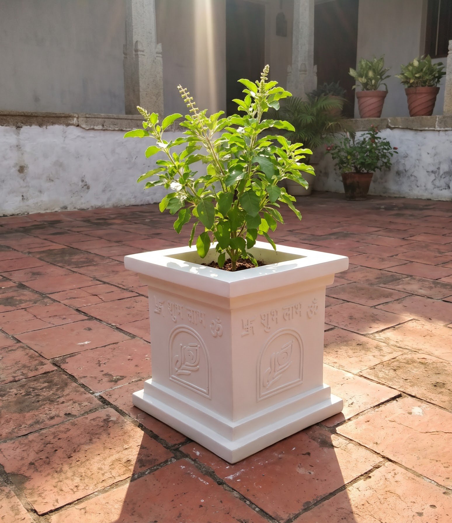 Zardens Sacred Tulsi Pot in Courtyard