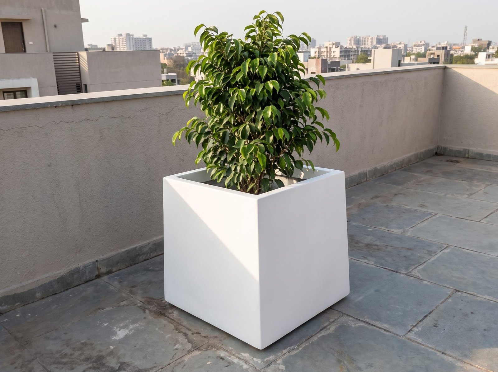 Rooftop